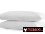 Set de 2 almohadas (gv)