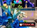 Decoraciones para fiestas de quince
