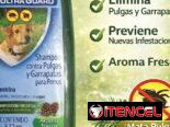 Shampoo para cachorros y perros adultos