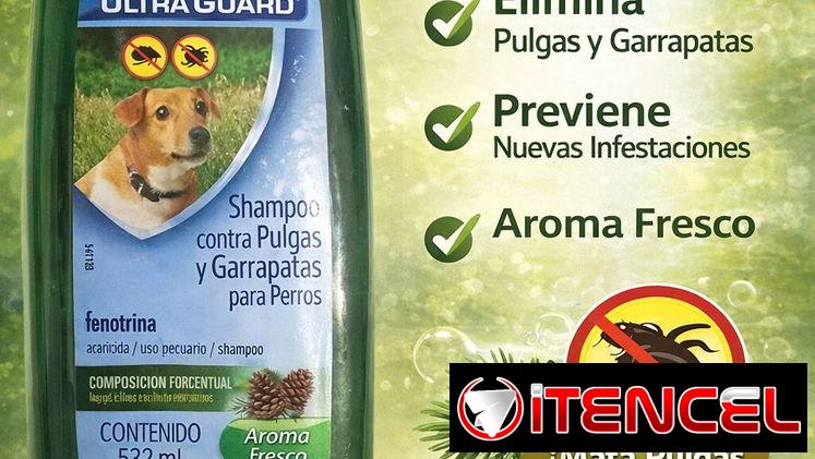 Shampoo para cachorros y perros adultos