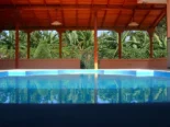 Casa independiente con piscina en mulgoba