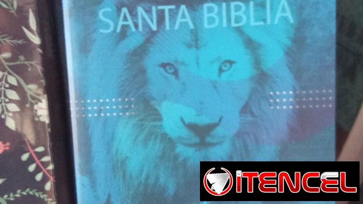 Biblias