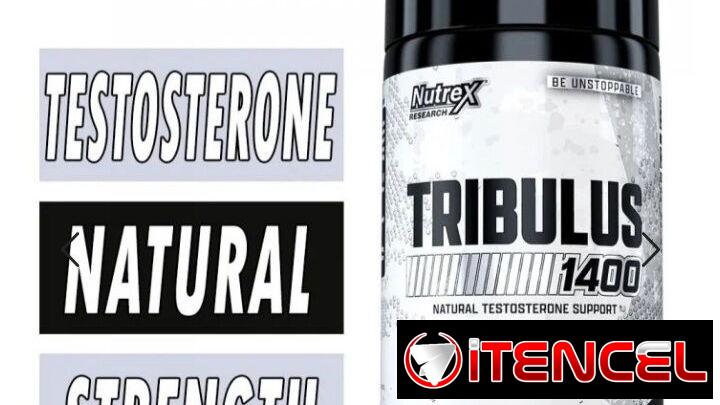 POTENCIADOR DE TESTOSTERONA TRIBULUS NUTREX