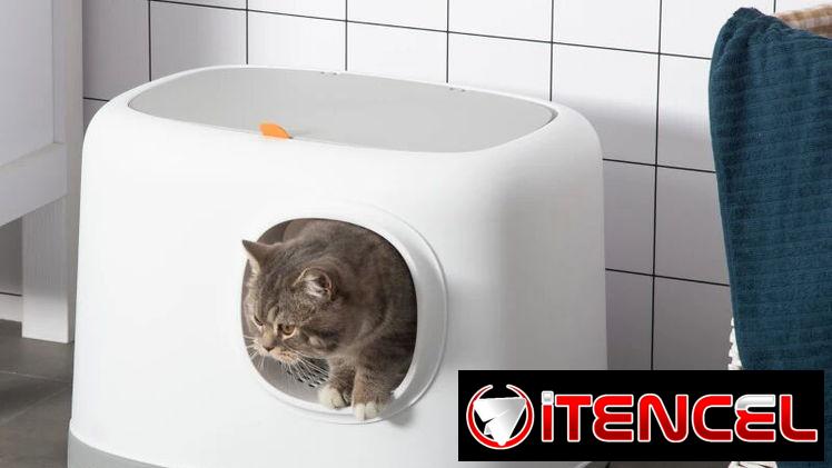 Caja de Arena para Gatos