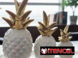 Adornos de frutas