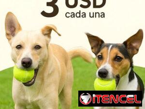 397755a7007c3099127c0aee09500f6a617976a498dc97c71b7903d89539cfbb