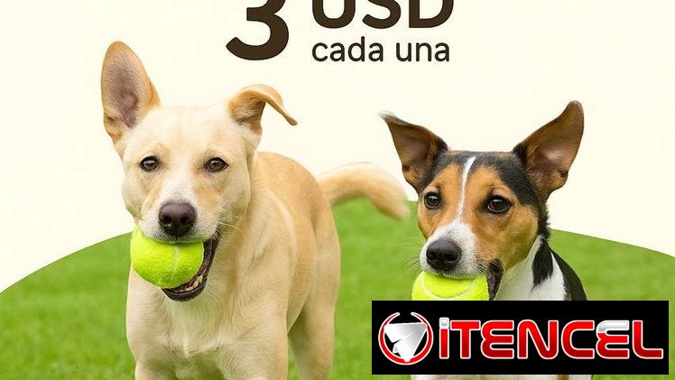 Pelotas de tenis para mascotas !!