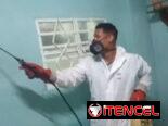 Fumigacion en la Habana.