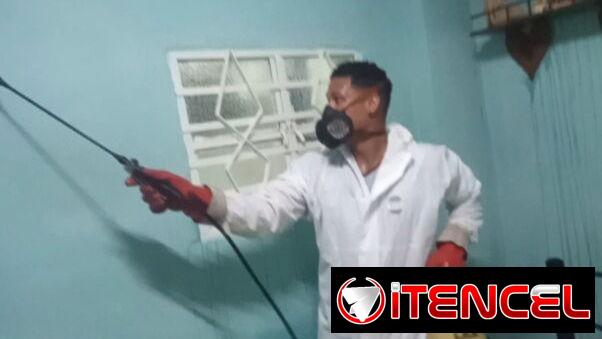 Fumigacion en la Habana.