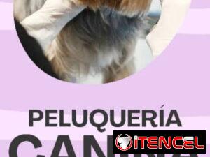 39c2ccb34ce91c5d03a93ead4a7ef7faedc023dfde1f1b584790513a6c4d2e66