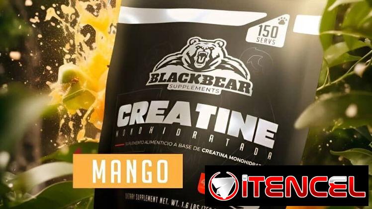 Creatina Blackbear 200 servicios- 1kg