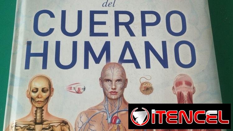 Enciclopedia del cuerpo humano. Todo en un libro
