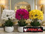 Plantas artificiales