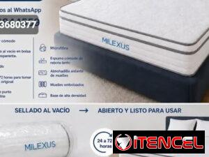3afe51755b5b113702314dc88ec3c0caa5a9a98858c825fd59b4b3a8afcc1380