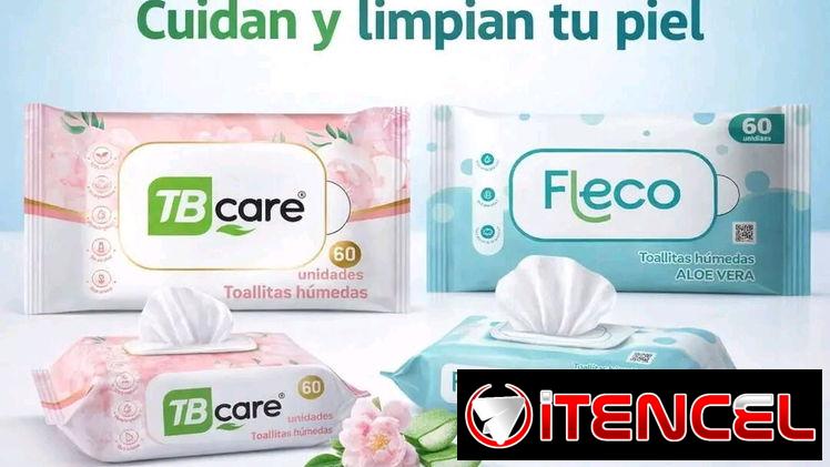 Toallitas húmedas Fleco Aloe de Vera y TB Care jazmín 60u (Caja x 48u)