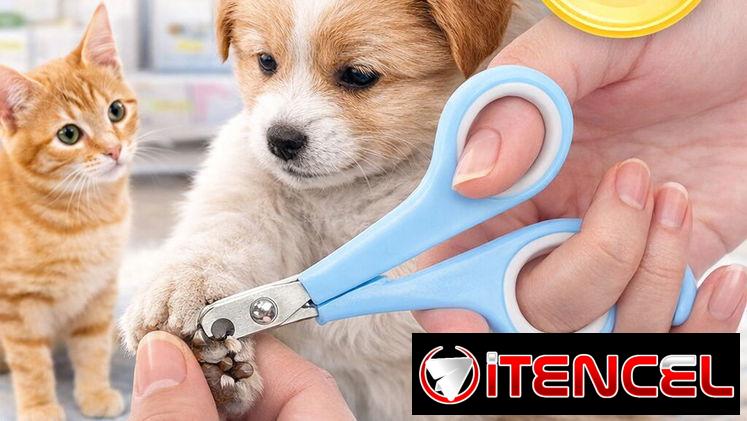 Tijeritas corta uñas para Mascotas