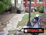 jardinería servicios, diseños y mantenimientos