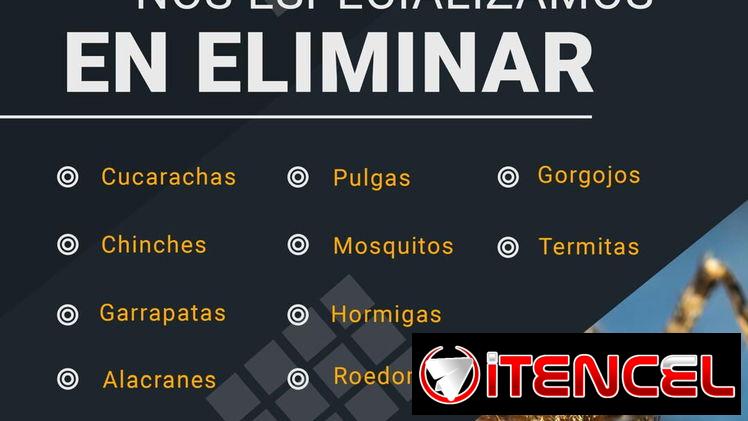 FUMIGADOR-CONTROLADOR DE PLAGAS-EXTERMINADOR. FUMIGACIÓN DE chinche cucaracha garrapatas mosquitos ratones moscas