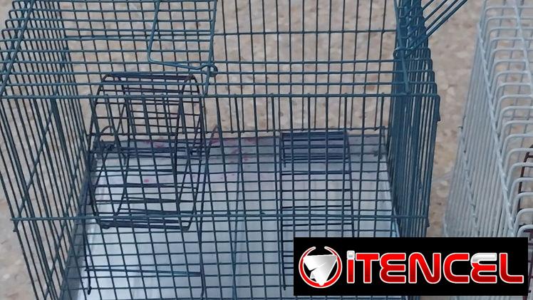 Hamster. Gerbos(ardillas del desierto).Jaulas. Pienso. Viruta. Maiz. Comederos/ Bebederos