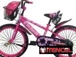 BICICLETA MODELO BM #16 (clc)