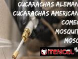 Servicio de Fumigación integral en la habana