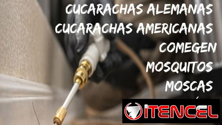 Servicio de Fumigación integral en la habana