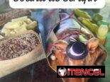 COMIDA CRIOLLA 💥LA COCINA DE SERAFÍN 💥