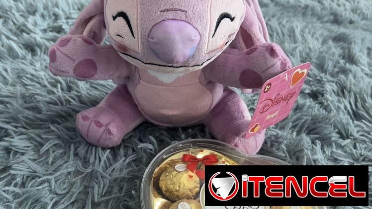 ❤️Regalos que enamoran ❤️Peluche + Ferrero Rocher