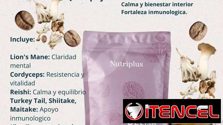 Café de Hongos 🍄‍🟫  excelente para la energía y equilibrar los niveles de estrés