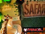 Celebra tu cumpleaños  de una manera especial! Con nuestros servicios, decoraremos tu fiesta