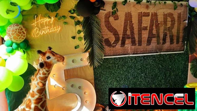 Celebra tu cumpleaños  de una manera especial! Con nuestros servicios, decoraremos tu fiesta