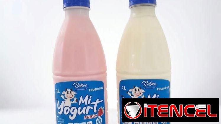 Yogurt probiótico rabre
