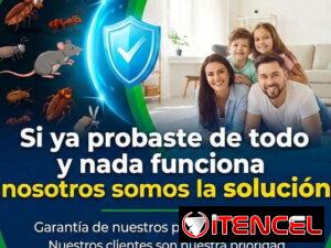 3d9276d85e25ed2f273cebd0e81942c3dcd69143f86c681dd237803b446f3adb