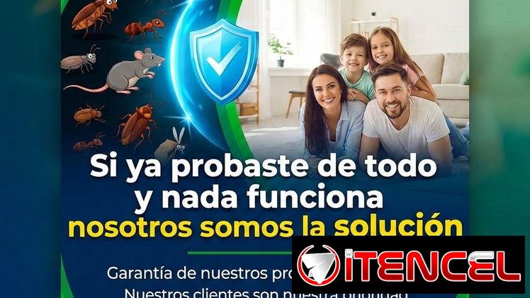 Fumigación contra chinches