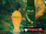 🎁 Llegaron los Estuches Perfume UDV de Regalo! + Perfumes de Diseñador + Ulric de Varens Perfume