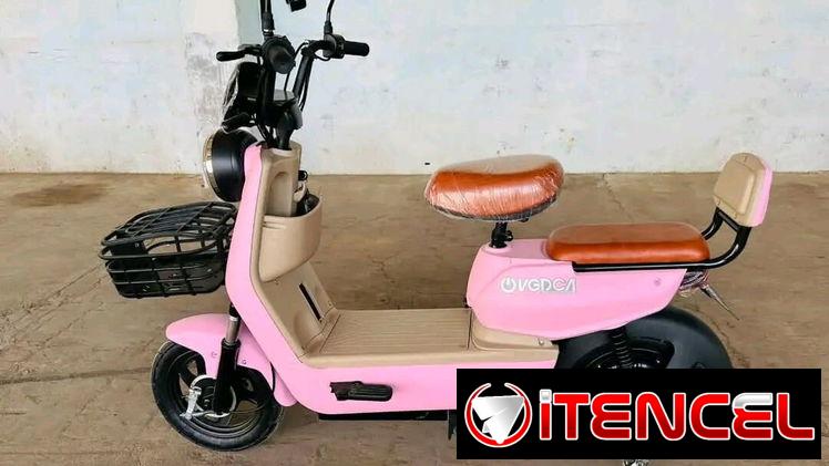 *BICICLETA ELÉCTRICA:* – Batería: LiFePO4 48V / 12Ah.  – Potencia del motor: 800W Velocidad 35 Km/h.  – Autonomía: 40-50
