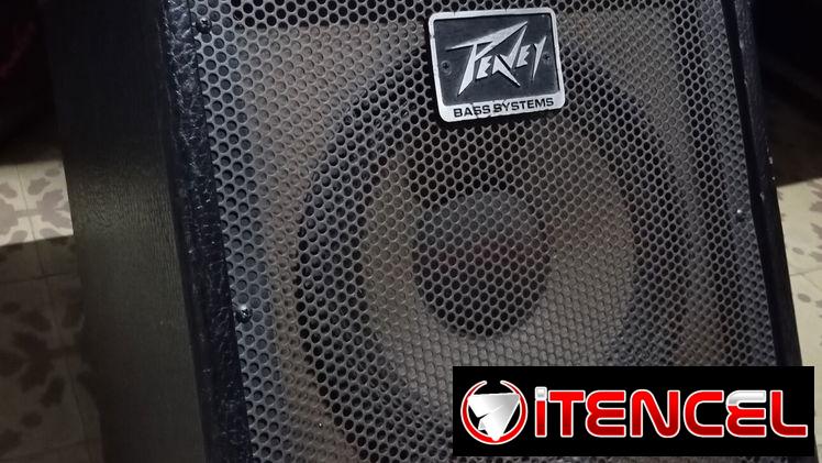 Amplificador de Bajo Peavey MAX110