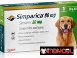 Simparica 20-40kg
