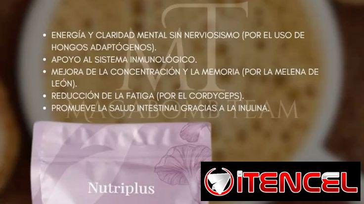 Café de Hongos 🍄‍🟫  excelente para la energía y equilibrar los niveles de estrés