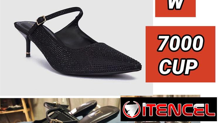 Bellos tacones puntifinos