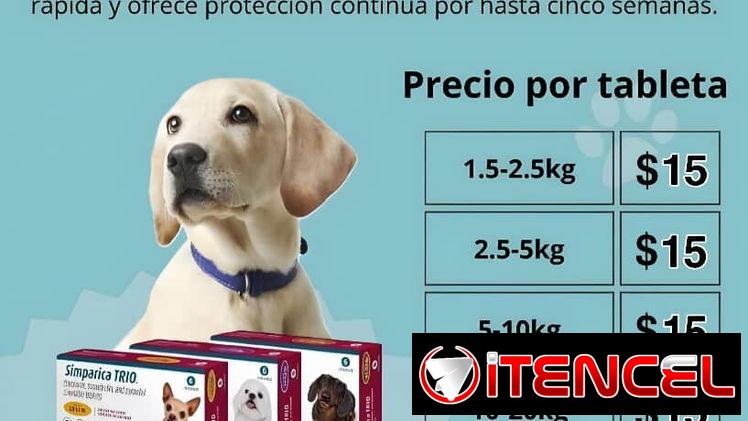 Simpárica Trío todos los pesos