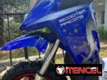 MOTO VEDCA MODELO AVISPÓN