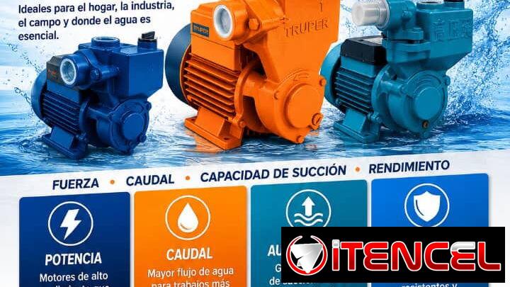 Ladrones de agua antocebantes