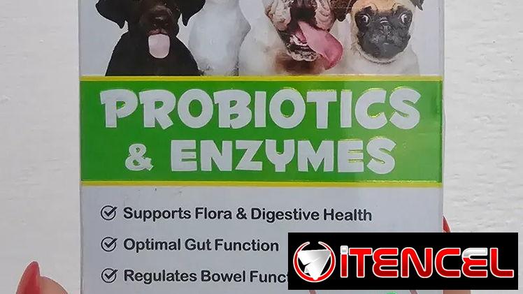 Probióticos y enzimas para perros