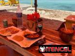 Oferta de inicio de curso escolar🏝