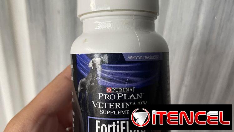 Probiótico para perros