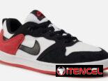 Tenis Nike SB #45 ORIGINALES 100%