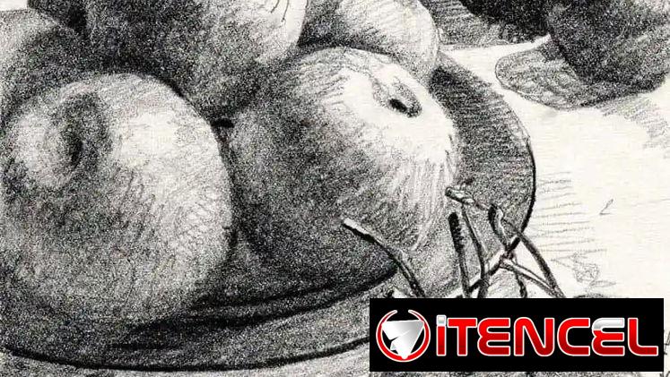 Clases de Dibujo Académico para jóvenes y adultos