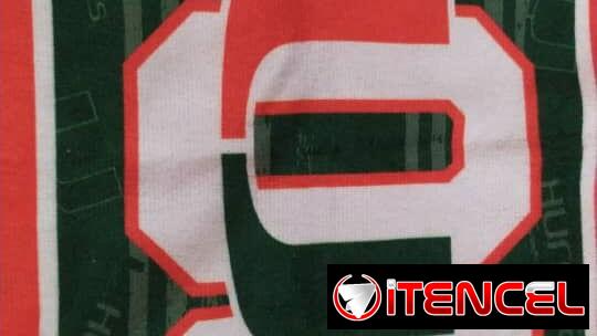 PAÑUELO HURRICANES DE MIAMI. 300 CUP.