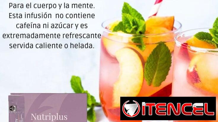 Té FARMASI